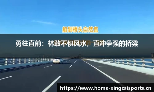 勇往直前：林敢不惧风水，直冲争强的桥梁
